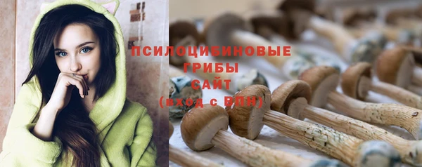 марки lsd Лиски