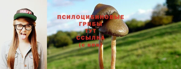 MDMA Premium VHQ Лихославль
