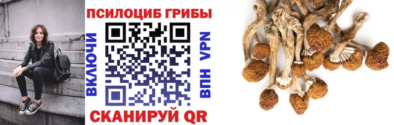 Галлюциногенные грибы мицелий  mega зеркало  Заринск 