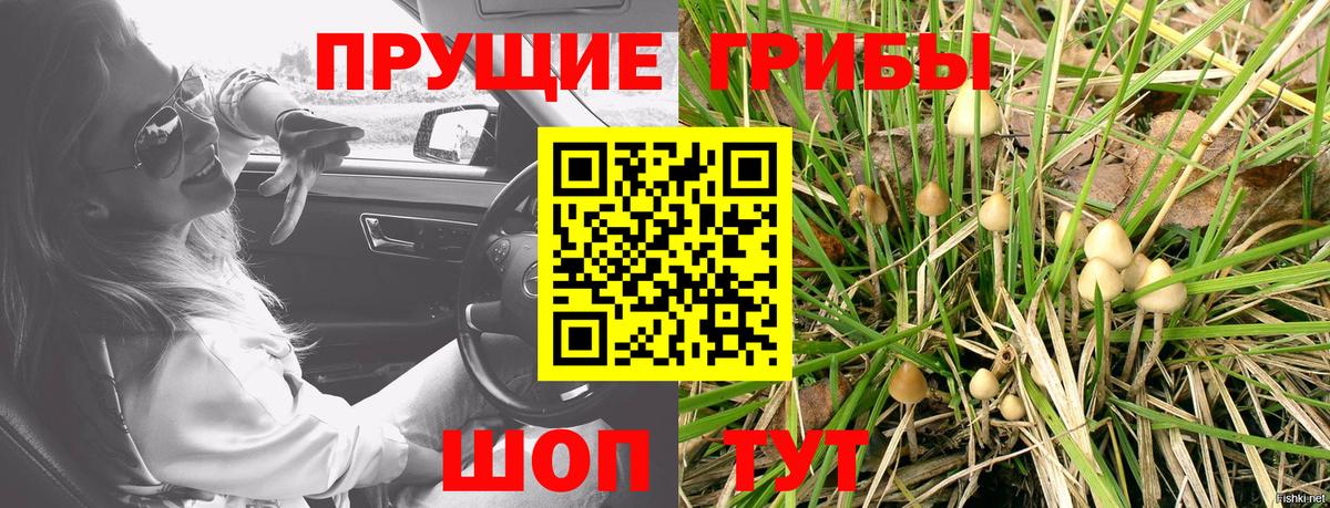 Галлюциногенные грибы мухоморы Заринск