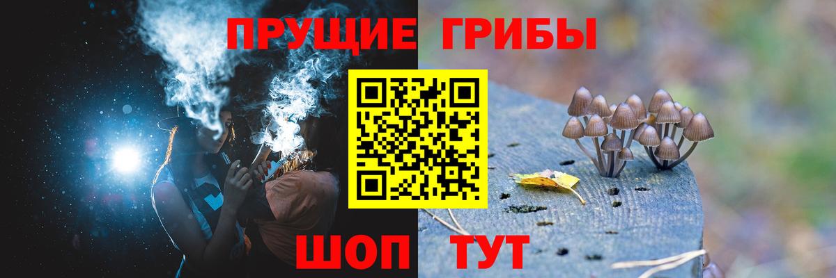 Псилоцибиновые грибы Psilocybe  Вход с VPN  Заринск 